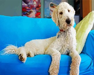 White Goldendoodle Dog diamond painting