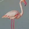 White Pink Flamingo Bird diamond paintings