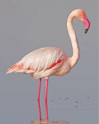 White Pink Flamingo Bird diamond painting