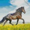 Wild Friesian Horse diamond painting