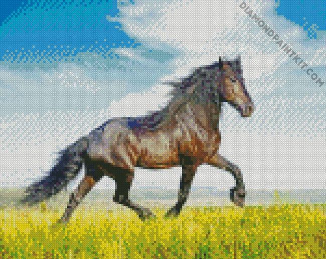 Wild Friesian Horse diamond painting