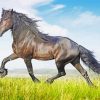 Wild Friesian In The Fields diamond painting