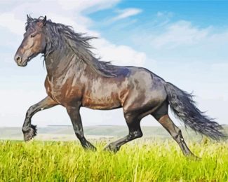 Wild Friesian In The Fields diamond painting