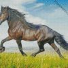 Wild Friesian In The Fields diamond painting