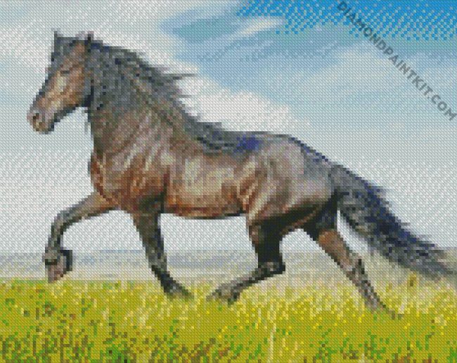 Wild Friesian In The Fields diamond painting