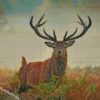 Wild Stag Animal diamond paintings