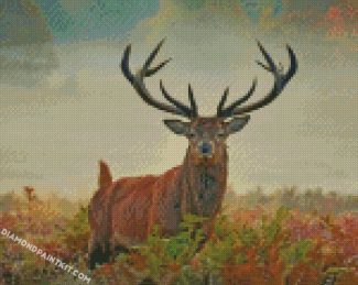 Wild Stag Animal diamond paintings