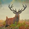 Wild Stag Animal diamond painting