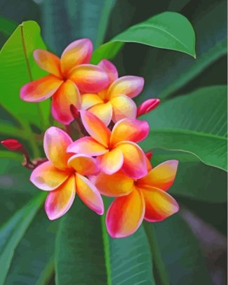 Yellow Pink Frangipani diamond painting