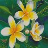 Yellow White Frangipani diamond paintings