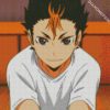 Yu Nishinoya diamond painting