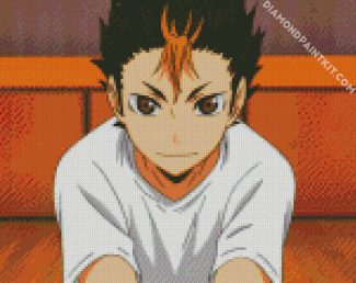 Yu Nishinoya diamond painting