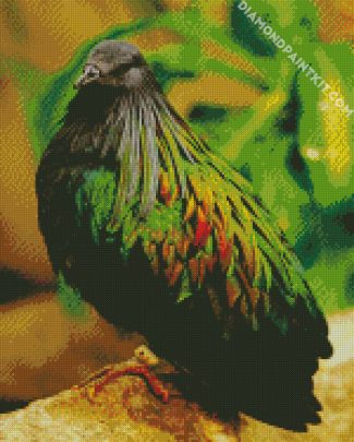 aestehtic Columbidae bird diamond paintings