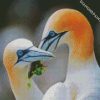 aesthetic Gannets diamond paintings