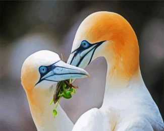 aesthetic Gannets diamond painting