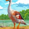 aesthetic Goose illustration diamond paintings