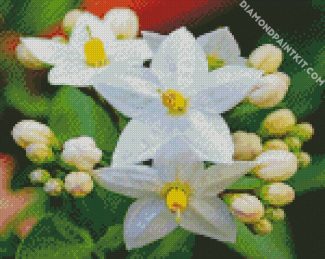 aesthetic jasmine flower diamond paintings