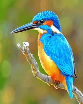 bird kingfisher diamond painting