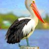 black and white pelican diamond paintings