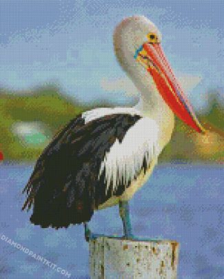 black and white pelican diamond paintings