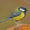 black and yellow Parus diamond paintings