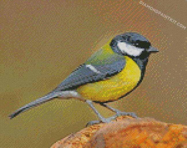 black and yellow Parus diamond paintings