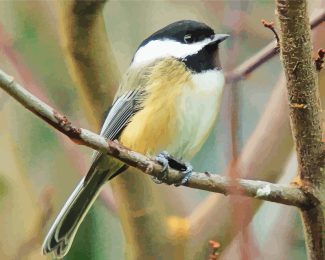 black capped chickadee diamond painting