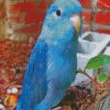 blue Parrotlet diamond paintings