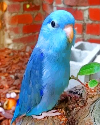 blue Parrotlet diamond paintings