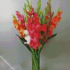 bouquet of Gladiola diamond paintings