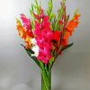 bouquet of Gladiola diamond painting