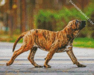 brindle mastiff dogs diamond paintings