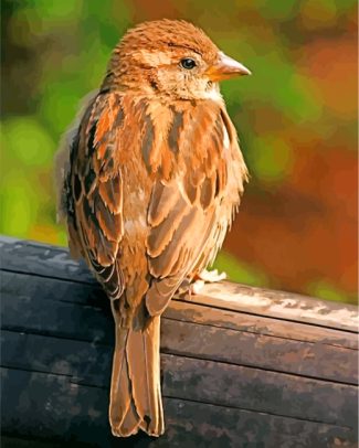 brown Passer bird diamond paintings