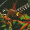 brown fantail bird diamond paintings