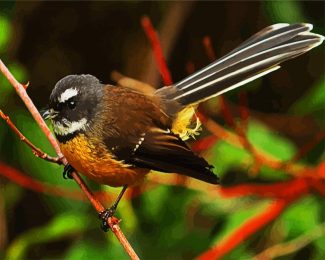 brown fantail bird diamond painting