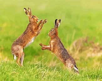 brown hares boxing diamond painting