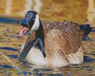 canadian Goose diamond paintings