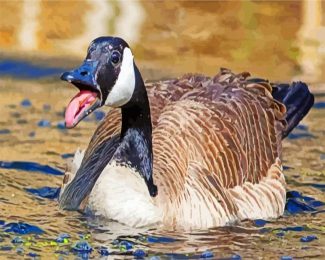 canadian Goose diamond paintings