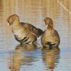 canadian Gooses diamond paintings