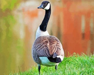 cannadian Goose bird diamond painting