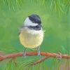 cap chickadee Bird On Stick diamond painting