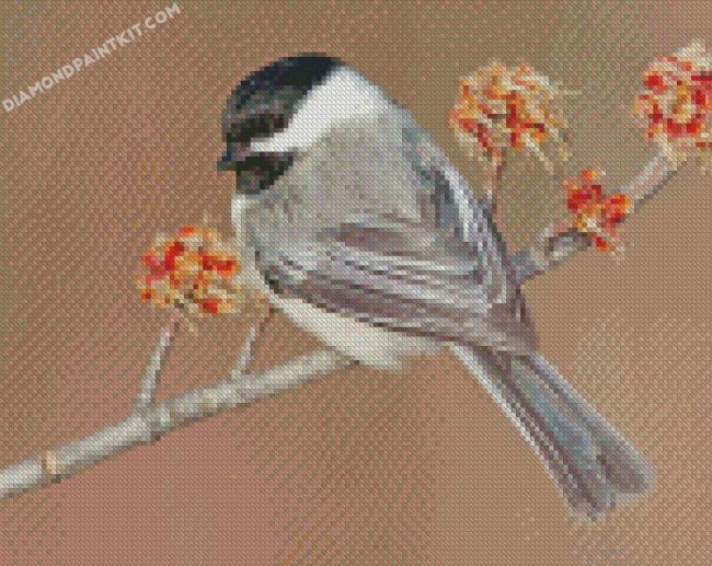 cap chickadee Bird diamond paintings