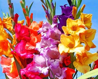 colorful Gladiola diamond painting