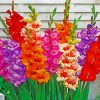 colorful Gladiolus flowers diamond painting