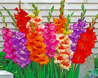 colorful Gladiolus flowers diamond painting