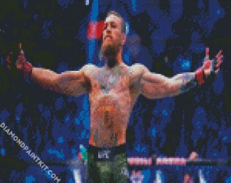 conor mcgregor diamond paintings