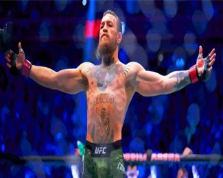 conor mcgregor diamond painting