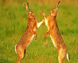 cute hares diamond paintings