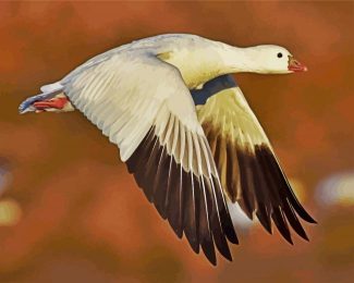 flying snow Goose diamond paintings