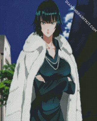 fubuki diamond paintings